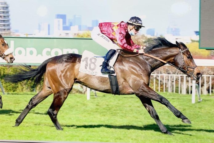 Jack O'boy beim Sieg im März (Bild: France Galop) Jack O'boy beim Sieg im März (Bild: France Galop)