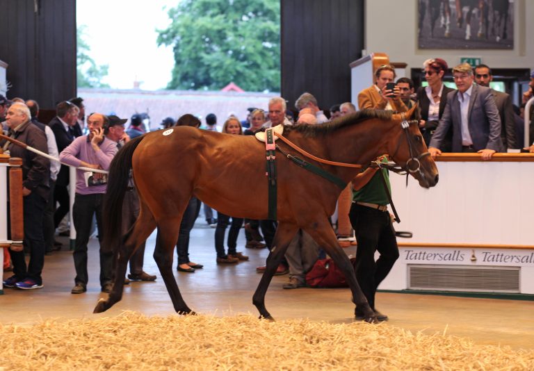 Jewel House: Tattersalls-Top-Seller an Tag 2