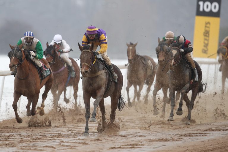 Jolene gewinnt hauchdünn – Jockey weiß Bescheid