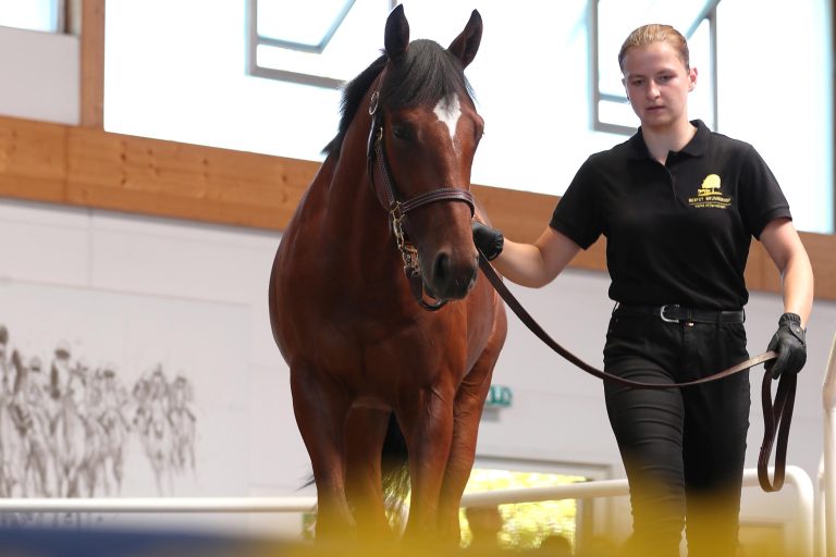 Juanito Siebter im Prix Fontainebleau