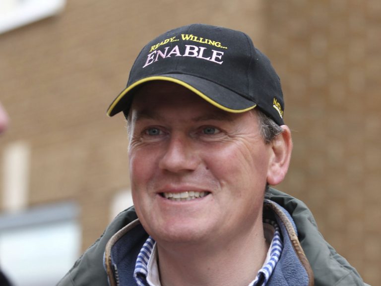 Newsells – 22 Pferde für 11.055.000 Guineas verkauft Newsells – 22 Pferde für 11.055.000 Guineas verkauft