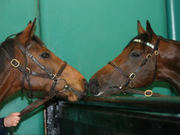 Kind (li.) mit ihrem letzten Partner Kingman Kind (li.) mit ihrem letzten Partner Kingman