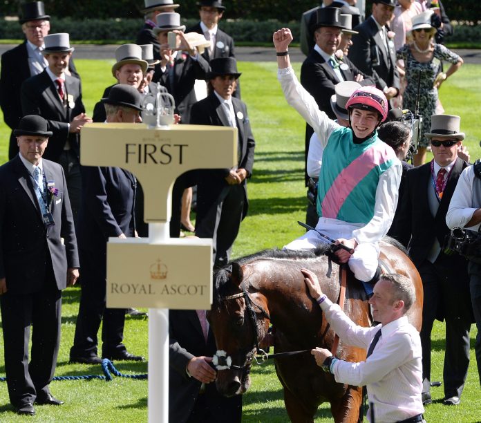 kingman