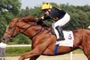 Hoppegarten: King’s Hall wird seiner Favoritenrolle gerecht Hoppegarten: King’s Hall wird seiner Favoritenrolle gerecht