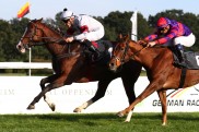 Starker Kolonel gewinnt K?lner Herbst-Preis Start-Ziel Starker Kolonel gewinnt K?lner Herbst-Preis Start-Ziel