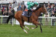 Team Valor kauft Anteile an Gruppesiegerin Emerald Star