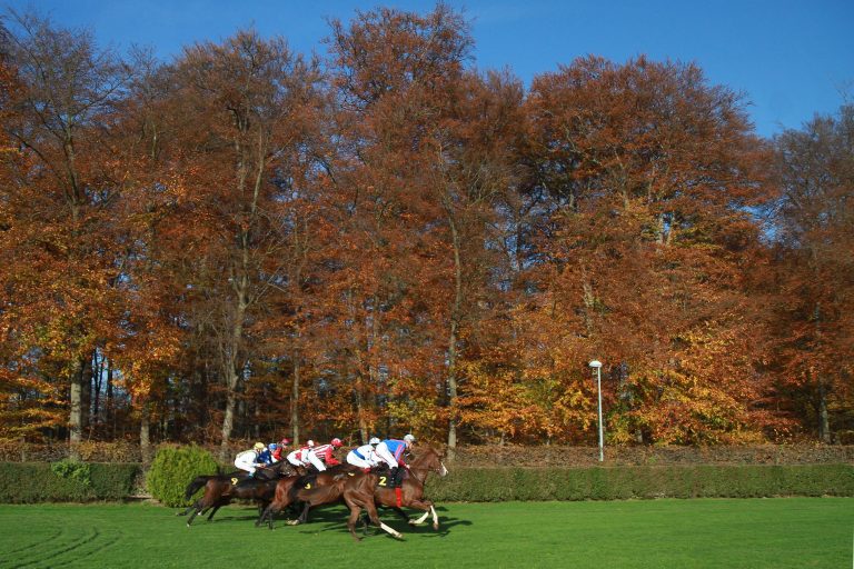 Sport-Welt TV Wett-Check für heute Krefeld