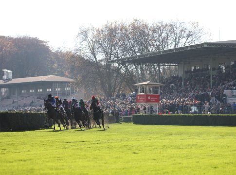 Sport-Welt TV Wett-Check für Krefelder Busch-Memorial-Renntag