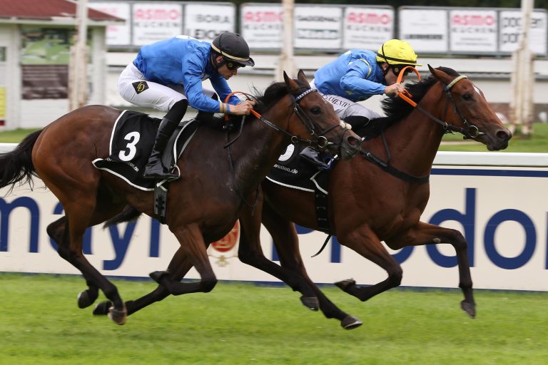 Deutsche Pferde für World Cup Carnival akzeptiert Deutsche Pferde für World Cup Carnival akzeptiert