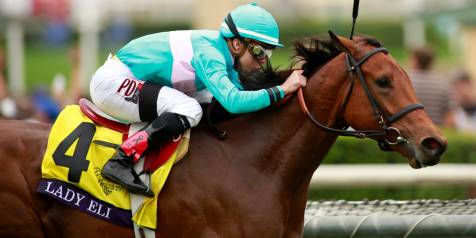 ladyeli-2014