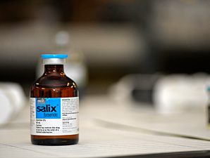 lasix
