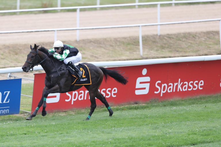 Hirschberger und Wöhler top bei den Dreijährigen