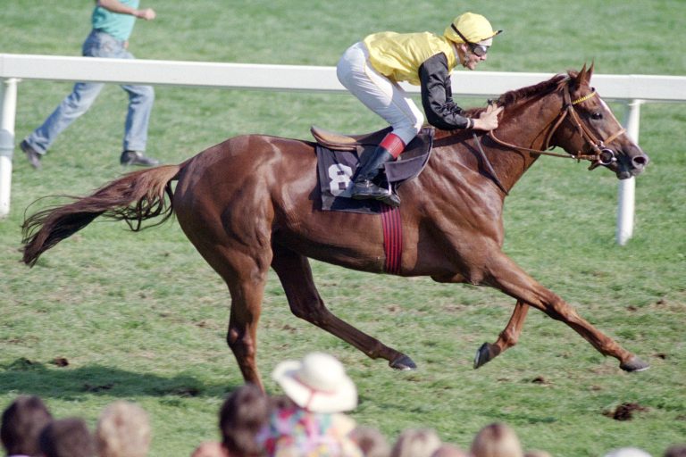 18 Jahre nach erstem Titel – Lomitas wieder Champion