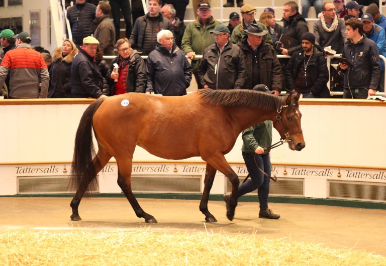 December Mare Sale – Aurora Gold toppt Tag 1