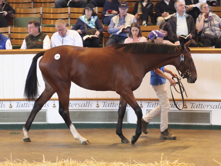 Ammerland verkauft 800.000 Guineas-Jährling