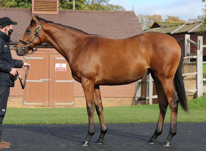 lot_436_tattersalls