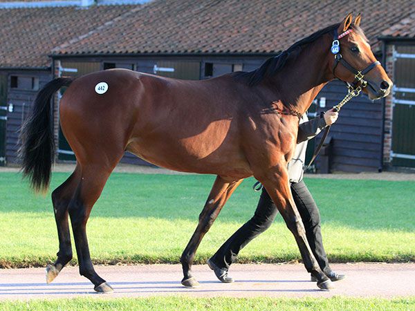 lot_442_galileo