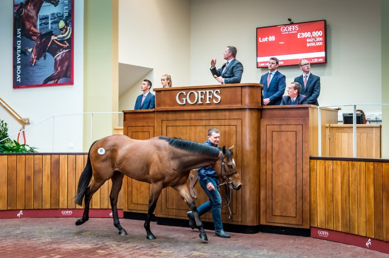 Kodiac-Sohn toppt Goffs UK Breeze Up Sale