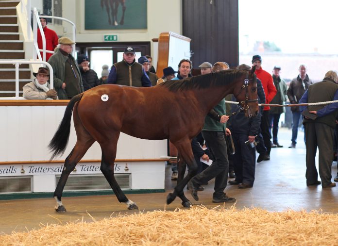 lot_89_tdy0696ctattersalls