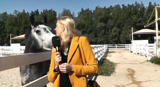 Maike Sidka zu Besuch im Al Shahania Stud
