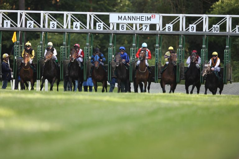 Für den Mannheimer Renntag: Starter dringend gesucht! Für den Mannheimer Renntag: Starter dringend gesucht!