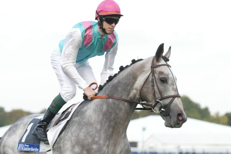 Stallion Martaline eingegangen
