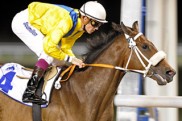 Premieren-Flop: Unser Takhir rei?t in Meydan gar nichts Premieren-Flop: Unser Takhir rei?t in Meydan gar nichts