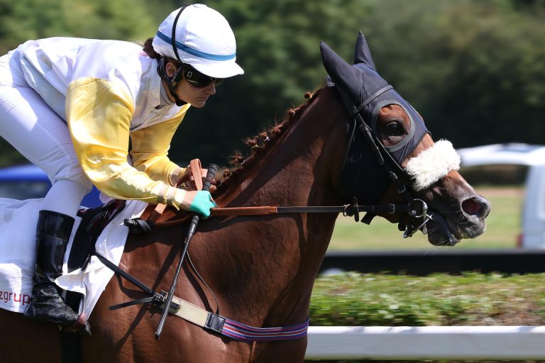 Miss Calacatta bringt 23.000 Euro