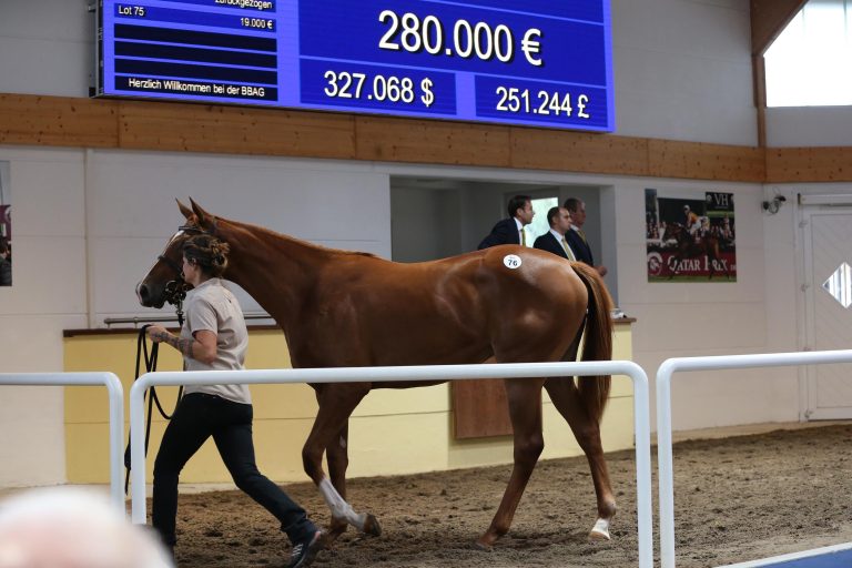 BBAG Auktion – Godolphin in Kauflaune