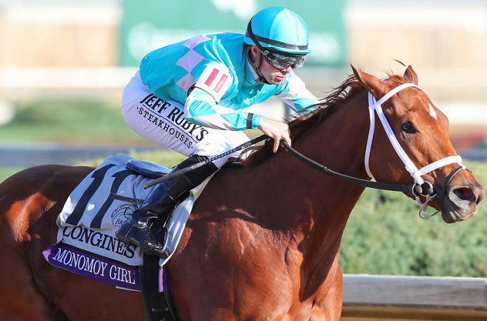 monomoy_girl