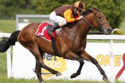 Bremer Derby-Trial: Mi Senor auf Russian Tangos Spuren