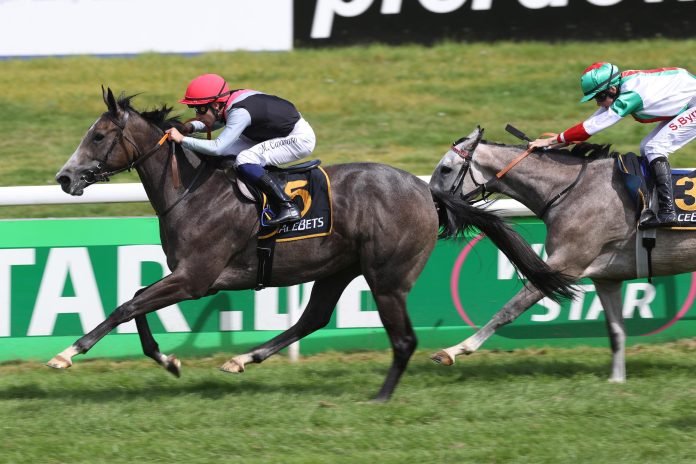 Mylady (Archiv) Mylady