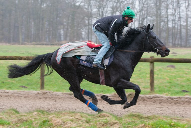 Segelt Nerud Windstoß im Derby-Trial davon?