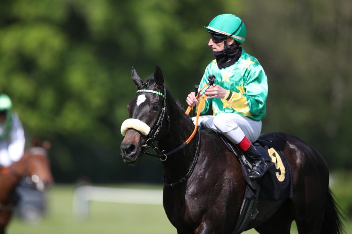 Noble Heidi Noble Heidi