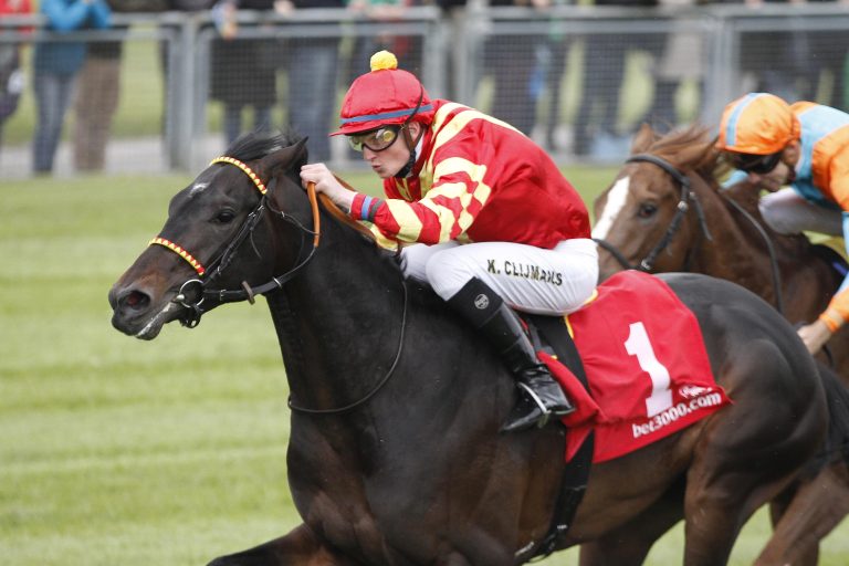 Noble House im Qatar Derby dabei? Noble House im Qatar Derby dabei?