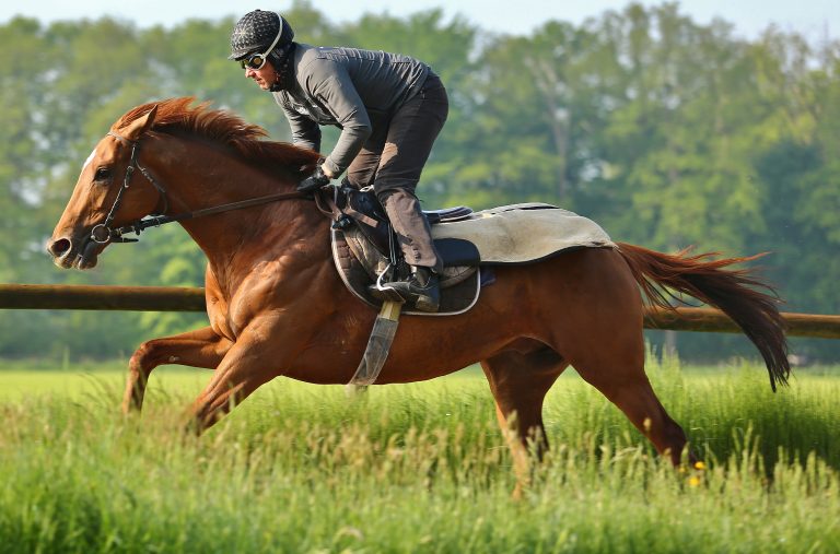 Northern Ruler im Klassefeld des Grand Prix de Paris