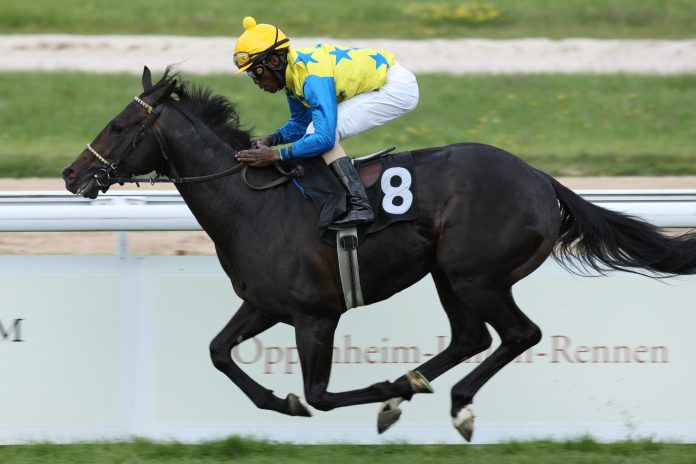 Novellist im Jahr 2012 Novellist im Jahr 2012