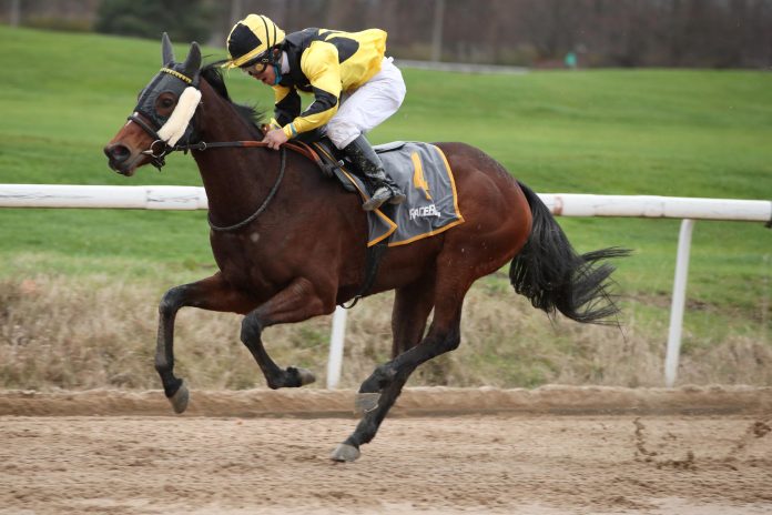 Oriental Princess (Archiv) Oriental Princess (Archiv)