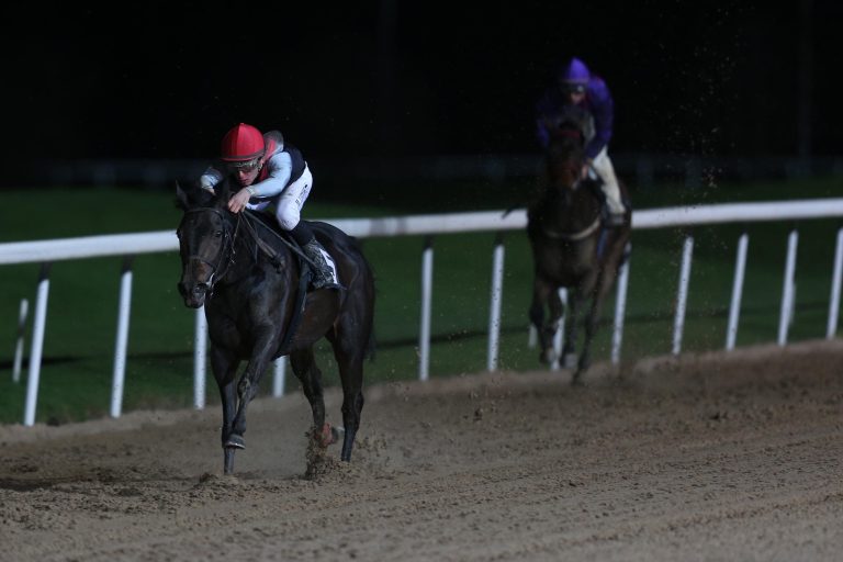 Paradise gewinnt – Palang wird nur Dritter
