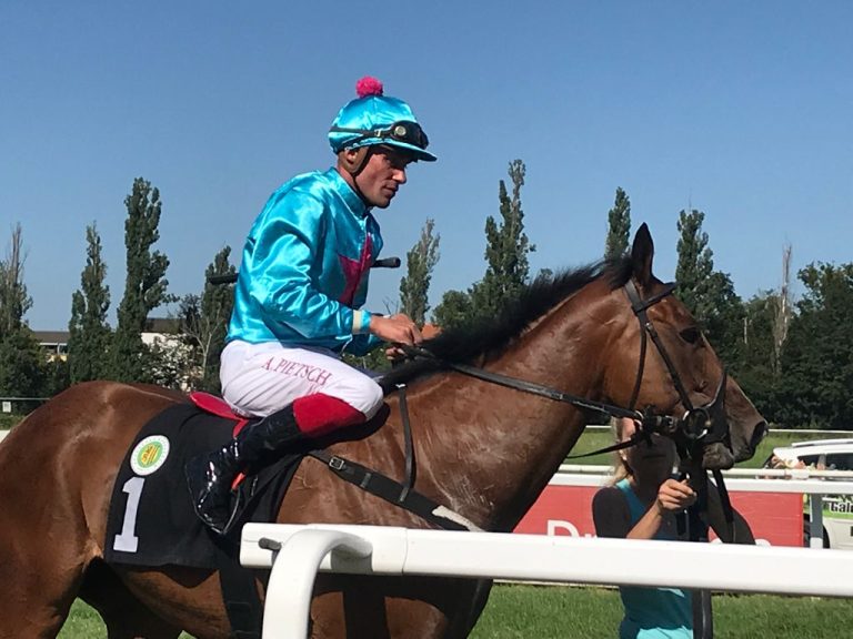 „1200 Meter schmecken“ – „Prinz“ trotzt der Stallform