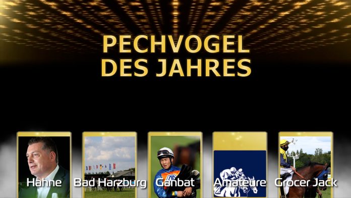 pechvogel-des-jahres-2020_das-ergebnis.00_00_06_01.standbild035