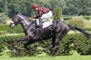 Petit Chevalier gewinnt in Chantilly