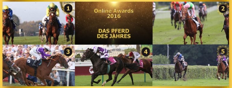 Online Awards: das ist das „Pferd des Jahres 2016“