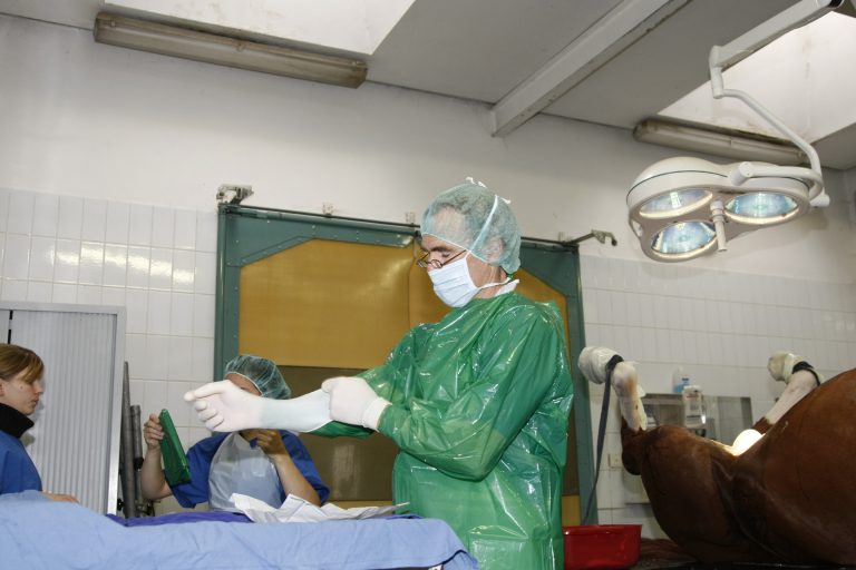 Pferdeklinik verlässt München-Riem Pferdeklinik verlässt München-Riem