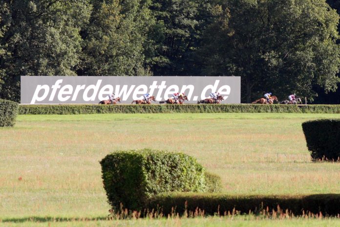 pferdewetten