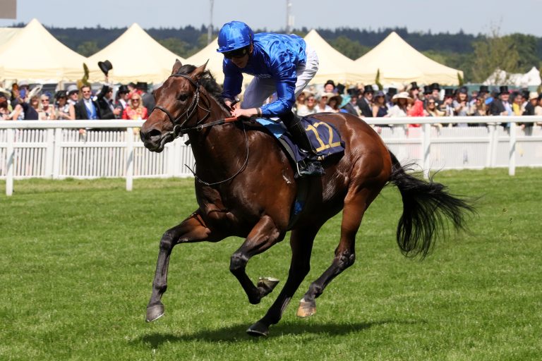 Erster Sieger für Pinatubo als Stallion
