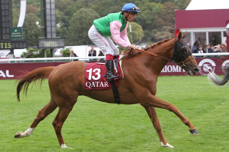 Grand Prix-Sieger Prince Gibraltar auf der Vente de l’Arc