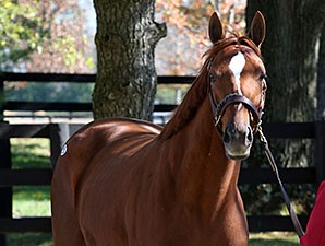 princessofsylmar