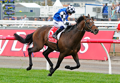Protectionist wieder da: Start in Düsseldorf!