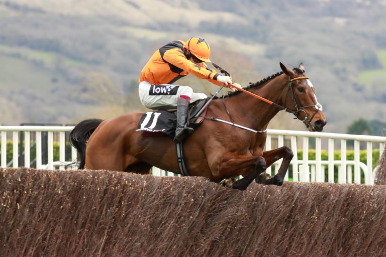 Stuten-Sieg in der Arkle Chase – Notebook Sechster